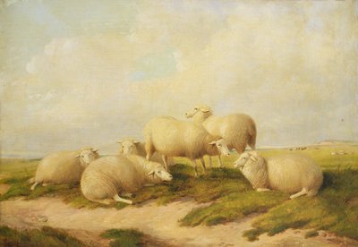 Moutons - Thomas Sidney Cooper